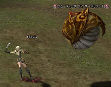 200411171.jpg